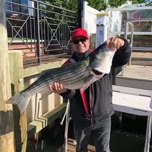 Meet your Posher, Gregory